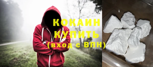 прущий лед Алзамай