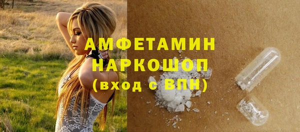 прущий лед Алзамай