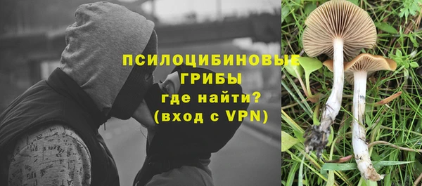 эйфоретик Алексеевка