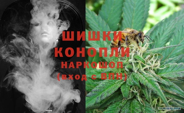 прущий лед Алзамай